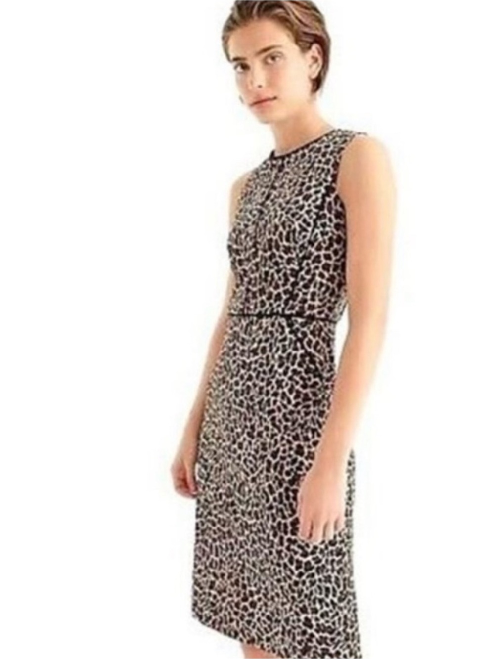 J. Crew NWT Animal Leopard Print Sheath Dress Size 4